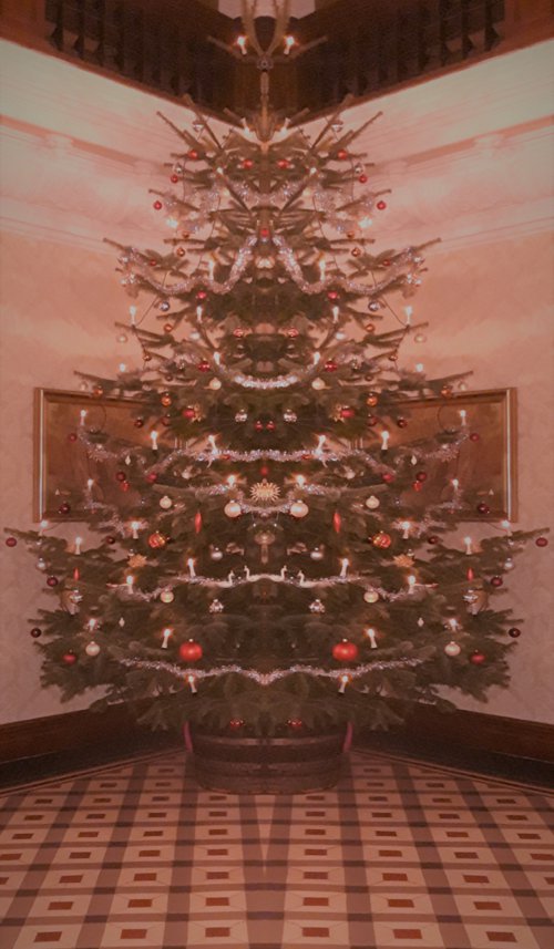 Weihnachten 2023 in Gorow